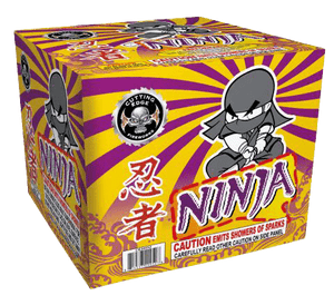 E35-Ninja