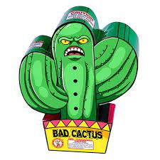 D08- Bad Cactus